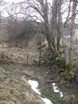 The narrow track past Blairbuie